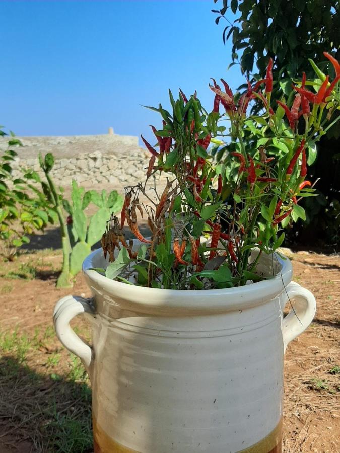 Tenuta L'Alba Di Monte Matino Οτράντο Εξωτερικό φωτογραφία