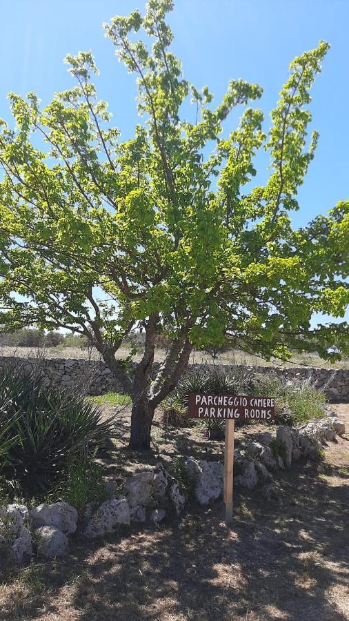 Tenuta L'Alba Di Monte Matino Οτράντο Εξωτερικό φωτογραφία