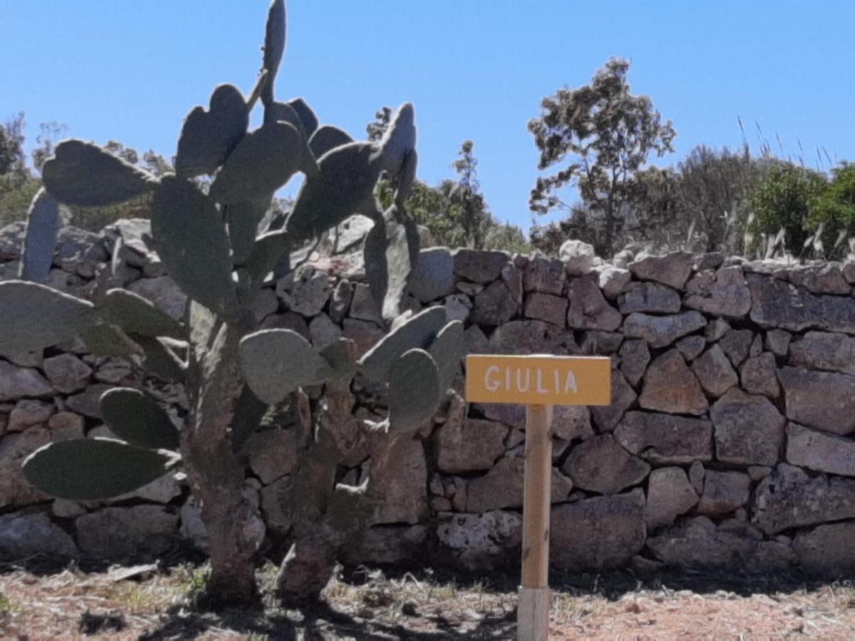 Tenuta L'Alba Di Monte Matino Οτράντο Εξωτερικό φωτογραφία
